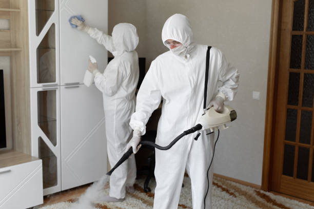 24/7 Emergency Odor Removal experts in Rocklin, CA