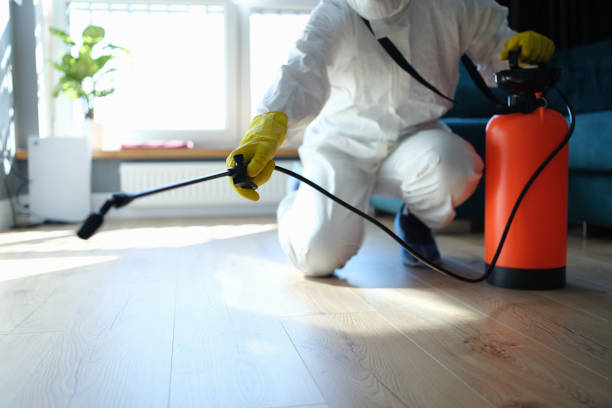 Reliable Odor Removal contractor in Rocklin, CA by Trauma Clean Pros